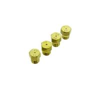 Kit injecteurs g30-29 mbar 481010400245 pour plaque de cuisson