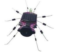 Kit insecte à énergie solaire Whadda WSAK185