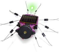 Kit insecte à énergie solaire Whadda WSAK185