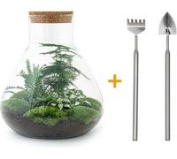 Kit jardin de bouteilles Sam XL - Système DIY Oeko y compris râteau + shovel, hauteur 35 cm pour votre maison
