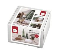 Kit Jardin miniature Rêve d'hiver