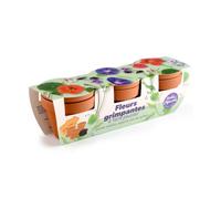 Kit jardinage fleurs grimpants - trio
