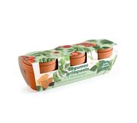 Kit jardinage légumes grimpants - trio