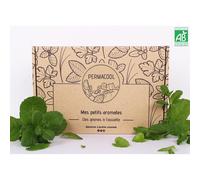 Kit jardinage - mes petits aromates : basilic, persil, coriandre, thym, ciboule