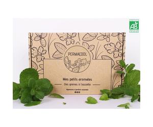 Kit jardinage - mes petits aromates : basilic, persil, coriandre, thym, ciboule