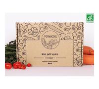 Kit jardinage - mon petit apéro : tomate, carotte, concombre, radis, coriandre