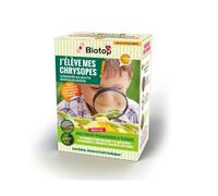 Kit : j'élève mes chrysopes avec bon pré