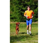 Kit jogger - Chien - Matériel résistant aux intempéries - Pour l'extérieur