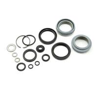 Rockshox Service Kit Gris Domain/Domain Dual Crown 2012-2016