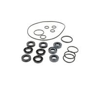 Kit joints pour Nettoyeur haute pression Ryobi G