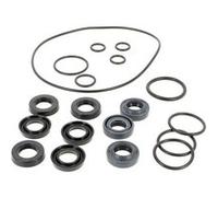 Kit joints pour Nettoyeur haute pression Ryobi G
