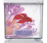 Kit Marina Betta, fleur