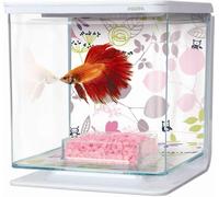 Kit Marina Betta, fleurs