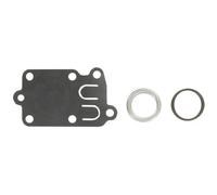 Kit membrane, ressort et joint BRIGGS ET STRATTON 270026