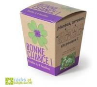 Trèfle à 4 Feuilles -