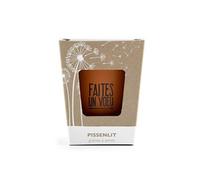 - kit message faites un voeu - pissenlit