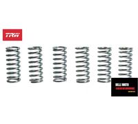 Kit Molle Friction TRW +10% Renforcées Yamaha YFM 660 R