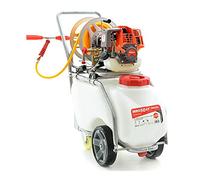 Kit motopompe d’arrosage sur chariot à essence 50 L - 4 temps - Idéal pour l’arrosage et le désherbage