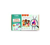 Kit Moulage Educatif anatomie 320 x 186 x 90 mm
