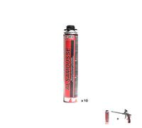 Kit Mousse PU - 10 Alsamousse + 1 pistolet + 1 nettoyant Alsamousse N - KIT00491