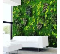 kit mur végétal stabilisé coloré - plantes et décoration murale d'intérieur végétal sans entretiens, plantes et fleurs éternel made in france, réalisez votre mur végétal