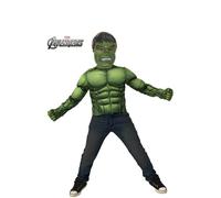 Kit Musculaire Pectorale Pour Les Garçons Hulk (Taille 3-6a) Multicolore