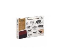Kit outils et tampons Crealign Peinture Rupestres