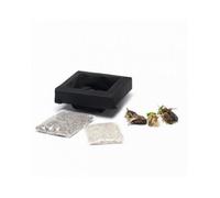 Kit panier flottant carré avec plantes aquatiques de bassin