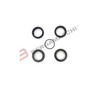 KIT PARE-CHOCS FOURCHE POUR VTT 36 mm BÉLIER ARI. A032 DVO TOUS MODÈLES 36 2019