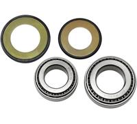 All Balls 22-1004 Kawasaki Kx/klx/kdx&yamaha Xt/yz/ttr&suzuki Dr Steering Bearing Kit Argenté