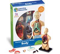 Kit pédagogique Corps humain - Modèle de 31 pièces pour enfants