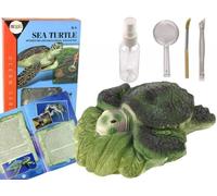 Kit pédagogique pour la fouille des tortues ammonites