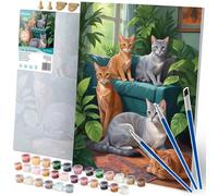 Kit Peinture Par Numéros Chats 40x50 cm Massido