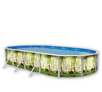 FORÊT Piscine hors sol ovale en acier 730 x 366 x 120 cm (Kit complet piscine, Filtre, Skimmer et échelle)