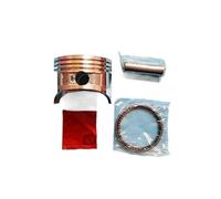 Kit Piston 60 mm Compatible avec Tondeuse GXV120 118 cm³ 4 Temps 4 CV HR194 214 215 : Segments, axe et Clip de Piston.