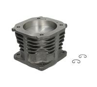 Kit Piston/Chemise de cylindre, compresseur d'air DT Spare Parts 4.90231