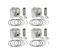Kit Piston Cylindre Kit Pistons D'anneaux Pour Moto STD- + 100 48.5mm-49.5mm Pour CBR250RR Pour CBR22 Pour KAZ MC22 CB250 MC23 Pour Jade Pour Hornet 25