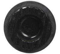 SRAM Kit de pistons frein à disque DB5 21 mm – 2 pièces (avec joints et O-rings)