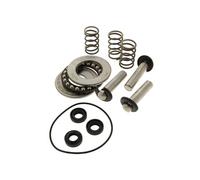 MacAllister Kit pistons, joints et roulements pour nettoyeur haute pression