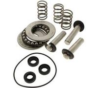 MacAllister Kit pistons, joints et roulements pour nettoyeur haute pression