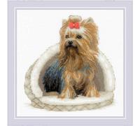 Kit point compté Riolis "Yorkshire Terrier", 25x25cm, DIY