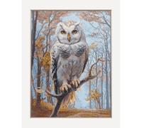 Kit Point De Croix Compté Aine "Chouette Des Bois" 30x40 Cm
