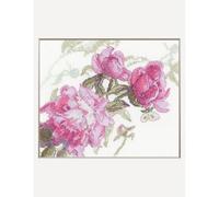 Kit Point De Croix Compté Aine "Pivoines. Murmure" 18x15 Cm