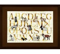 Kit point de croix Le Bonheur des Dames "Dog Sampler coquille d'oeuf", DIY, 38x26cm