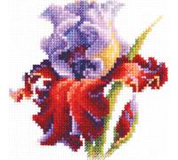 Kit point de croix Magic Needle Zweigart Edition "Iris", compté, DIY, 11x11cm