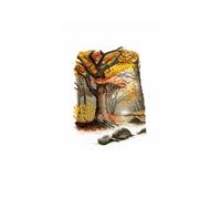 Kit point de croix Paysage automnal - DMC(...) - Multicolore