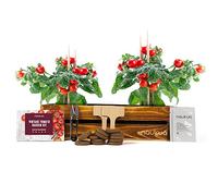 Kit Potager Interieur Vintage Prêt à Pousser Tomates Cerises - Kit Culture Interieur - Kit Plante Graines biologiques cultivées en Europe - Cultivea Mini Kit Prêt À Pousser Facilement à la Maiso