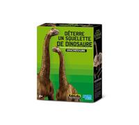Kit pour déterrer un Dinosaure Brachiosaurus