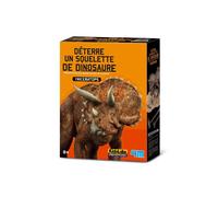 Kit pour déterrer un Dinosaure Triceratops