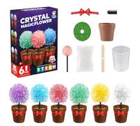 Kit pour la Culture des Cristaux, 6 Spécimens de Cristal, Kit Scientifique éducatif, Cultivez Rapidement 6 Cristaux (2-3 Jours), Activités Manuelles et Loisir Creatif- STEM Cadeau Fille 8 Ans